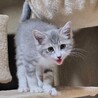 （トライアル決定）甘えん坊の男の子 サムネイル2