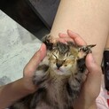 里親決定！ゆっぴ／とにかく甘えん坊な女の子