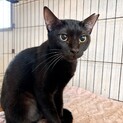 6/14カインズෆ⃛穏やかな性格ෆ⃛スミレちゃん