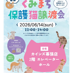 くみまち保護猫譲渡会＠カインズ幕張店