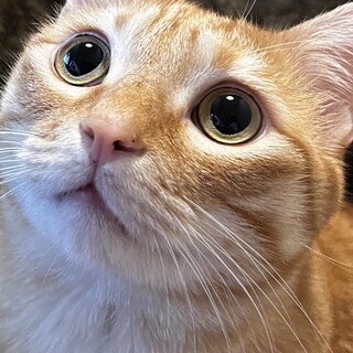 甘えん坊7歳