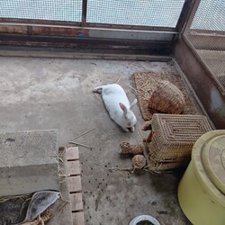 あちぃ～