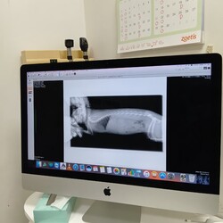 健康診断に行って来ました！（目指せ10歳！）