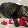 のんのん：ダイナマイトボディ！＊トライアル中 サムネイル2