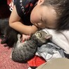 すやすや