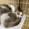 神秘的な雰囲気が魅力です サムネイル2