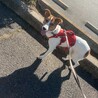 馴れるととっても甘えん坊な【ルーベン】君 サムネイル6