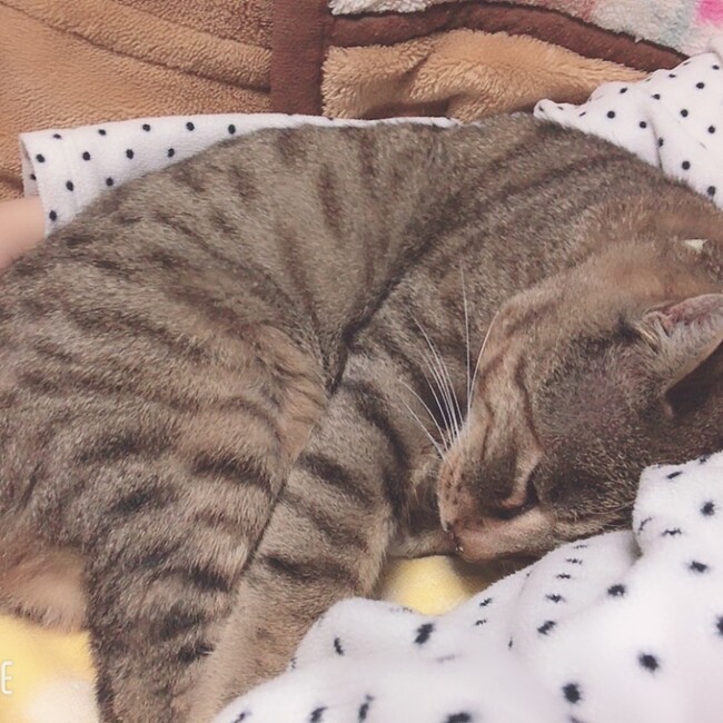 maki.nのカバー写真