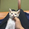 チュッパくん サムネイル3