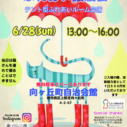 保護猫のふれあい譲渡会