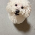 里親お願い致します。