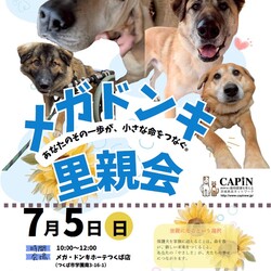 メガドンキ里親会