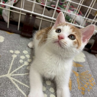 甘えん坊のセイくん