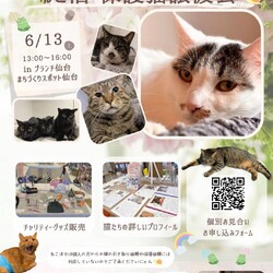 様々なご報告