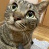 人馴れ120%！驚きに懐こさ！