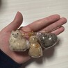 めるうさ