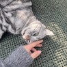 あちゃんの