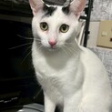 ビビりだけど甘えん坊❤️