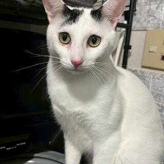 ビビりだけど甘えん坊❤️