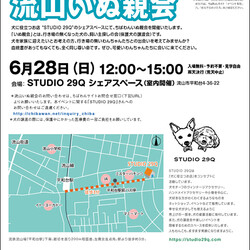 6月28日ちばわん『流山いぬ親会』開催のご案内