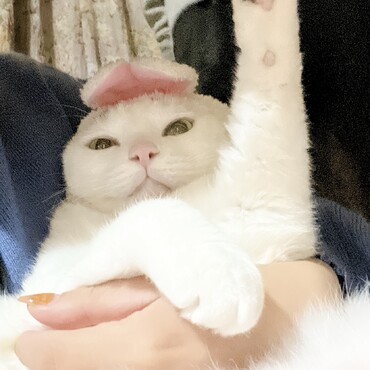 の写真
