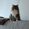 ベルユウママ