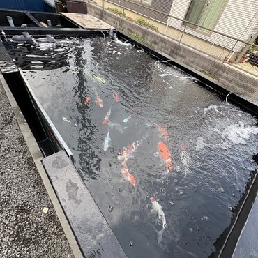 の写真