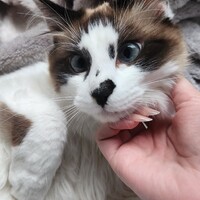 ゆうみ