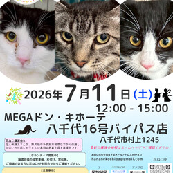 花ねこ譲渡会 サムネイル1