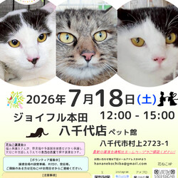 花ねこ譲渡会