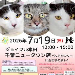 花ねこ譲渡会