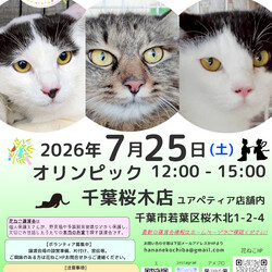 花ねこ譲渡会