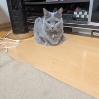 みいちゃん