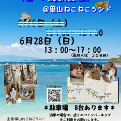 葉山ねこねこランド保護猫譲渡会