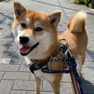ゆっくり寄り添ってくれると安心するね♡