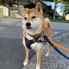 ゆっくり寄り添ってくれると安心するね♡ サムネイル2