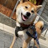 ゆっくり寄り添ってくれると安心するね♡ サムネイル3