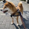 ゆっくり寄り添ってくれると安心するね♡ サムネイル4