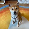 ゆっくり寄り添ってくれると安心するね♡ サムネイル5