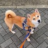 ゆっくり寄り添ってくれると安心するね♡ サムネイル6