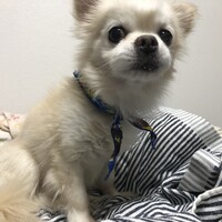 レオン
