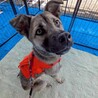 カッコいい顔だけど甘えっ子な【きよら】ちゃん♪ サムネイル2