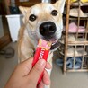 人が大好きな甘えっ子【皐月(さつき)】ちゃん♪ サムネイル3