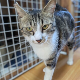 人が大好き！甘えんぼうな男の子、あもちゃん