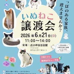 いぬねこ譲渡会