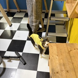 トムさん、ドキドキ検査結果