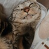 ももたびうす