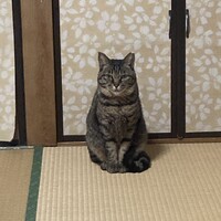 小次郎