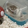 さくさくぱんださ