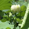 みや051750